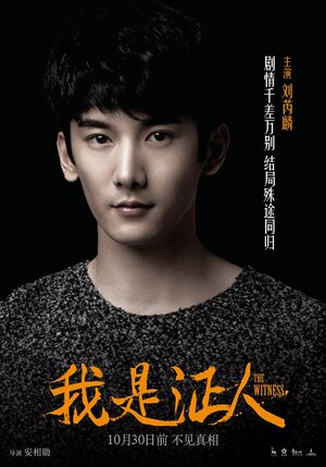 Постер: (Свидетель, 2015 - вся информация о фильме на FilmNavi.ru