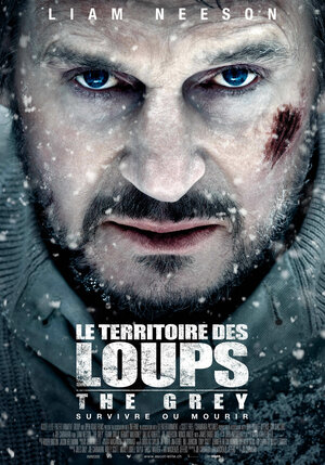 Постер: (Схватка, 2011 - вся информация о фильме на FilmNavi.ru