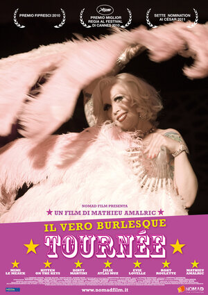 Постер: (Турне, 2010 - вся информация о фильме на FilmNavi.ru