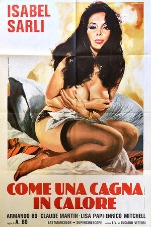 Постер: (Ночная бабочка, 1976 - вся информация о фильме на FilmNavi.ru