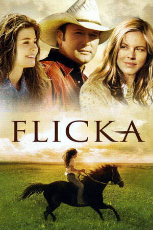 Флика (2006) — постеры фильма — Кинопоиск