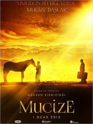 Постер: (Чудо, 2014 - вся информация о фильме на FilmNavi.ru