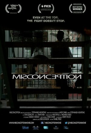Постер: (Misconception, 2017 - вся информация о фильме на FilmNavi.ru
