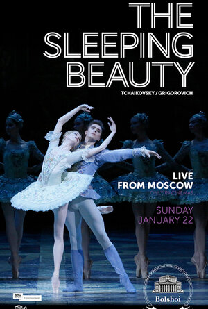 Постер: (Спящая красавица, 2017 - вся информация о фильме на FilmNavi.ru