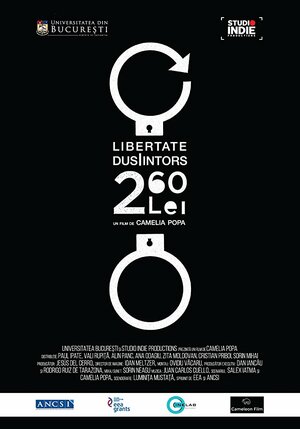 Постер: (2 lei 60, 2017 - вся информация о фильме на FilmNavi.ru