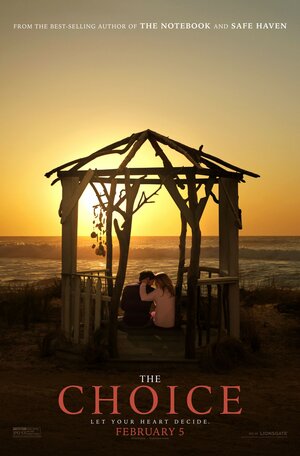 Постер: (Выбор, 2015 - вся информация о фильме на FilmNavi.ru