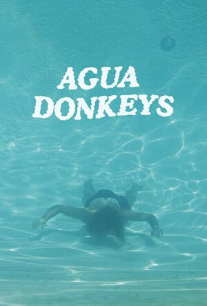Постер: (Agua Donkeys, 2018 - вся информация о фильме на FilmNavi.ru