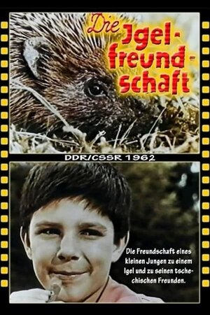 Постер: (Нарушитель границы, 1962 - вся информация о фильме на FilmNavi.ru