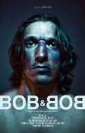 Боб и Боб (2010)