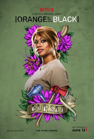 Постер: (Оранжевый — хит сезона, 2013 - вся информация о сериале на FilmNavi.ru