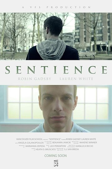  (2017)
