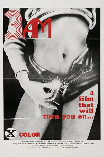 3 часа ночи (1975)