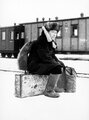Александр Солженицын — фильмы — Кинопоиск