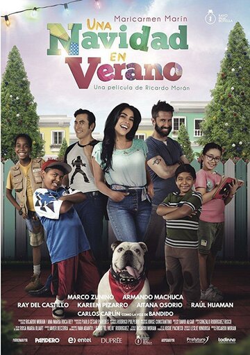  (2017)