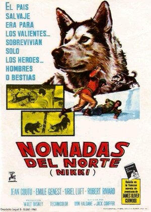 Постер: (Дикий пес Севера, 1961 - вся информация о фильме на FilmNavi.ru