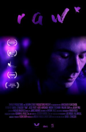 Постер: (Правонарушитель, 2016 - вся информация о фильме на FilmNavi.ru