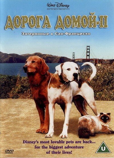 80 иностранных фильмов и мультфильмов про собак на любой вкус