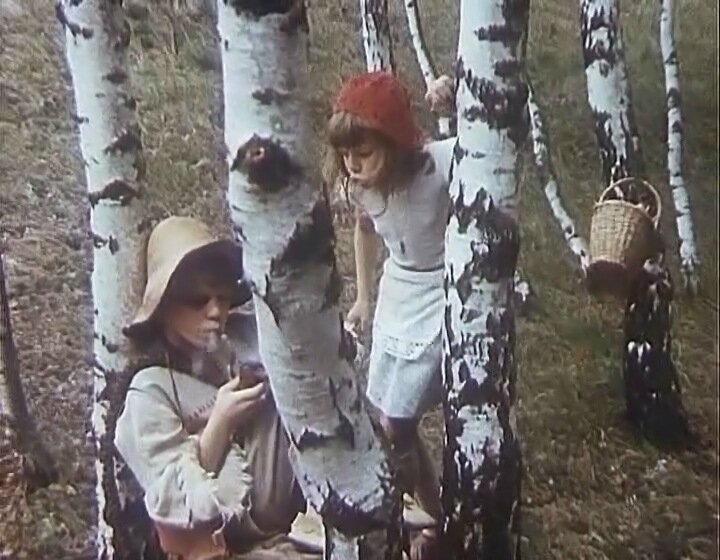 Фото: Про Красную Шапочку / Скриншот фильма «Про Красную Шапочку» (1977 ...