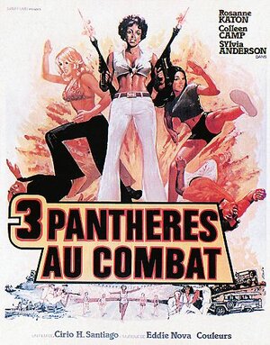 Постер: (Чертовки в цепях, 1976 - вся информация о фильме на FilmNavi.ru