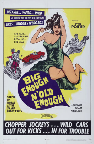 Постер: (Бунтари из ада, 1968 - вся информация о фильме на FilmNavi.ru