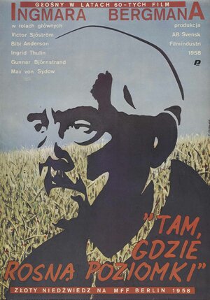 Постер: (Земляничная поляна, 1957 - вся информация о фильме на FilmNavi.ru