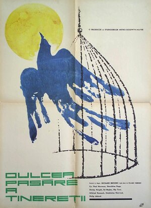 Постер: (Сладкоголосая птица юности, 1962 - вся информация о фильме на FilmNavi.ru