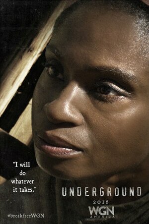 Постер: (Подземка, 2016 - вся информация о сериале на FilmNavi.ru