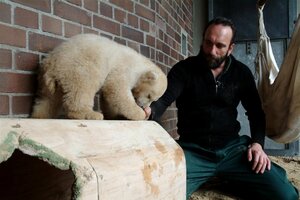 Кнут и его друзья кадр 6 онлайн-кинотеатр Эмбликс