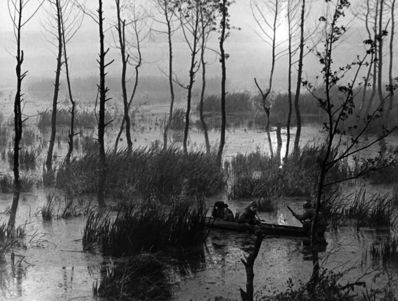 Фото: Иваново детство / Кадр из фильма «Иваново детство» (1962) #1701595