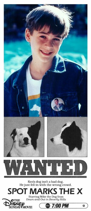 Постер: (Собачий секрет, 1986 - вся информация о фильме на FilmNavi.ru