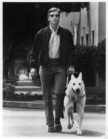 Кадр из фильма