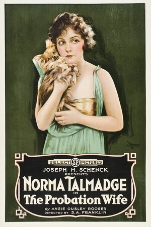 Постер: (The Probation Wife, 1919 - вся информация о фильме на FilmNavi.ru