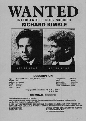 Постер: (Беглец, 1993 - вся информация о фильме на FilmNavi.ru