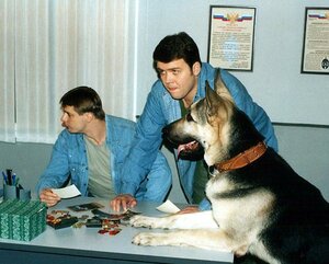 Возвращение Мухтара кадр 6 на Эмбликс в Hd