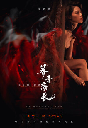 Постер: (Дикие травы, 2020 - вся информация о фильме на FilmNavi.ru