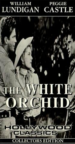 (1954)