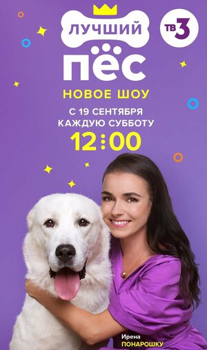 Постер: (Лучший пес, 2020 - вся информация о сериале на FilmNavi.ru