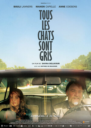Постер: (Tous les chats sont gris, 2014 - вся информация о фильме на FilmNavi.ru