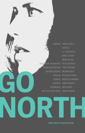 Постер: (Go North, 2014 - вся информация о фильме на FilmNavi.ru