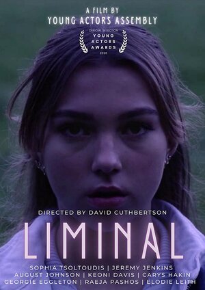 Постер: (Liminal, 2020 - вся информация о фильме на FilmNavi.ru