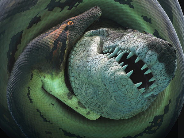 Фото: Titanoboa: Monster Snake / Кадр из фильма «Titanoboa: Monster Snake»  (2012) #2242818