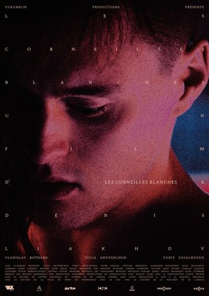 Постер: (Белые вороны, 2023 - вся информация о фильме на FilmNavi.ru