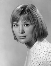 Qaynonamning mushukining surati