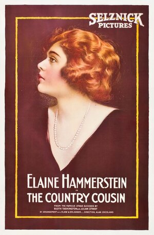Постер: (The Country Cousin, 1919 - вся информация о фильме на FilmNavi.ru