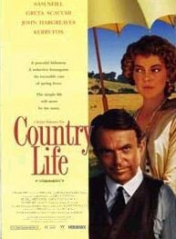 Постер: (Провинциальный роман, 1994 - вся информация о фильме на FilmNavi.ru