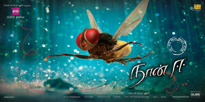 Постер: (Муха, 2012 - вся информация о фильме на FilmNavi.ru