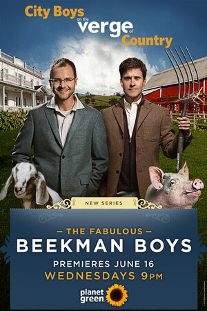 Постер: (The Fabulous Beekman Boys, 2010 - вся информация о сериале на FilmNavi.ru