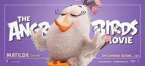 Постер: (Angry Birds в кино, 2016 - вся информация о мультфильме на FilmNavi.ru