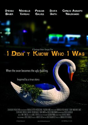Постер: (I Didn't Know Who I Was, 2008 - вся информация о фильме на FilmNavi.ru