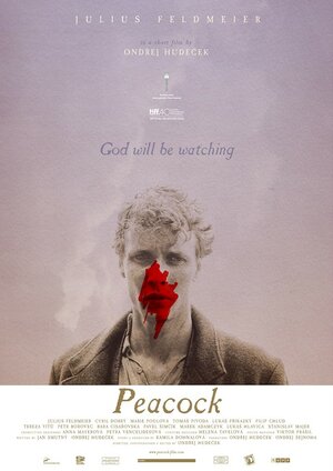 Постер: (Furiant, 2015 - вся информация о фильме на FilmNavi.ru